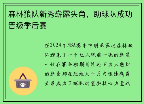 森林狼队新秀崭露头角，助球队成功晋级季后赛