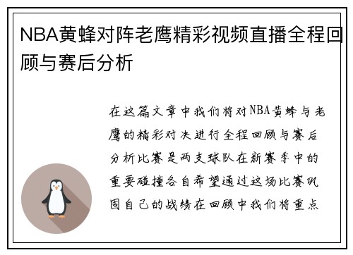 NBA黄蜂对阵老鹰精彩视频直播全程回顾与赛后分析