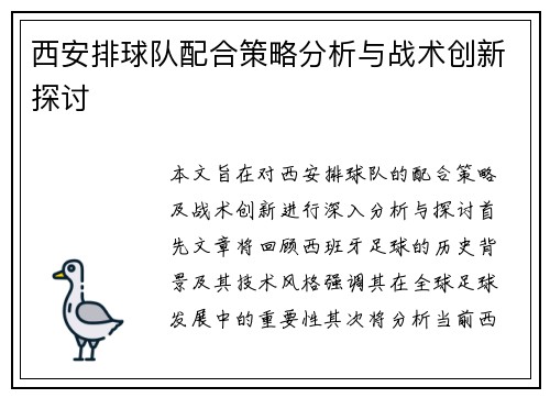 西安排球队配合策略分析与战术创新探讨